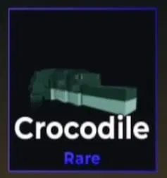 Crocodile Pet