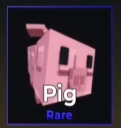 Pig Pet